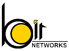 Bit Networks Logo